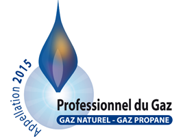 Logo PG : Professionnels du gaz naturel et propane